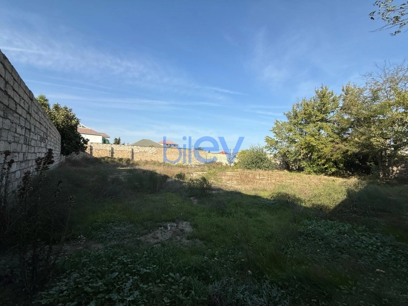 Satış  otaqlı Torpaq  1000m², Bakı