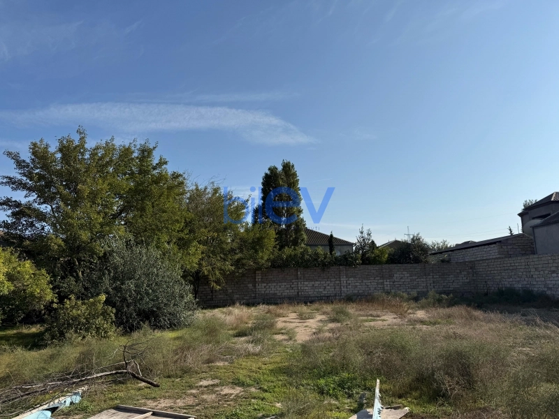 Satış  otaqlı Torpaq  1000m², Bakı
