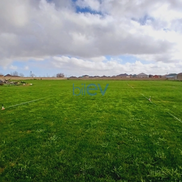 Satış  otaqlı Torpaq  12000m², Bakı