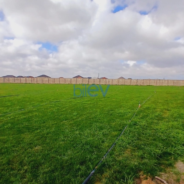 Satış  otaqlı Torpaq  12000m², Bakı