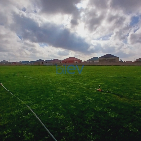 Satış  otaqlı Torpaq  12000m², Bakı