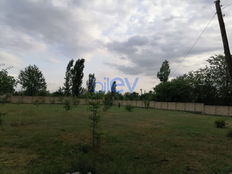 Satış  otaqlı Torpaq  12000m², Bakı