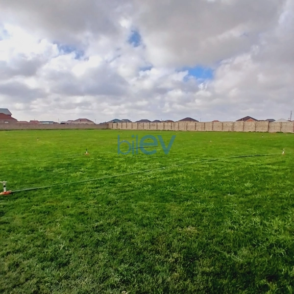 Satış  otaqlı Torpaq  12000m², Bakı