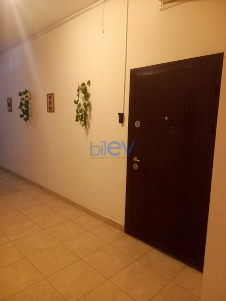 Aylıq Kirayə 3 otaqlı Yeni Tikili bina evi  82m², Bakı