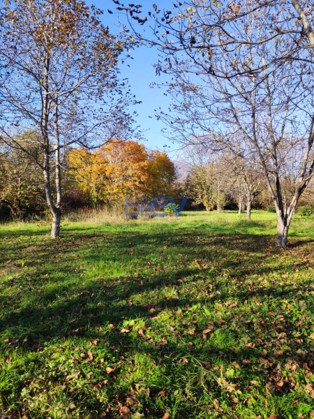 Satış  otaqlı Torpaq  20m², Qəbələ