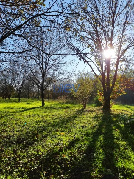 Satış  otaqlı Torpaq  20m², Qəbələ