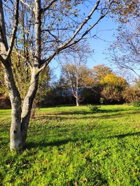 Satış  otaqlı Torpaq  20m², Qəbələ