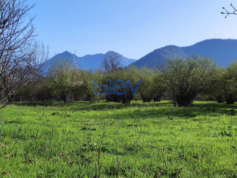Satış  otaqlı Torpaq  20m², Qəbələ