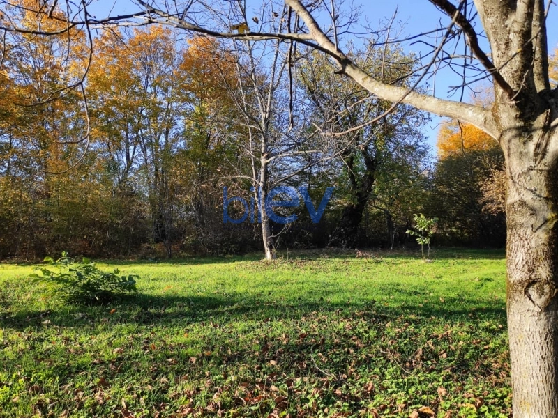 Satış  otaqlı Torpaq  20m², Qəbələ