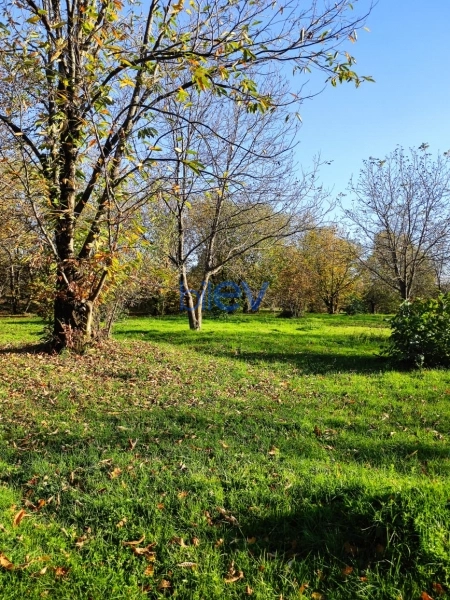 Satış  otaqlı Torpaq  20m², Qəbələ