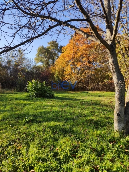 Satış  otaqlı Torpaq  20m², Qəbələ