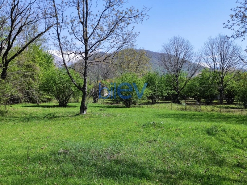 Satış  otaqlı Torpaq  20m², Qəbələ