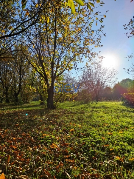 Satış  otaqlı Torpaq  20m², Qəbələ