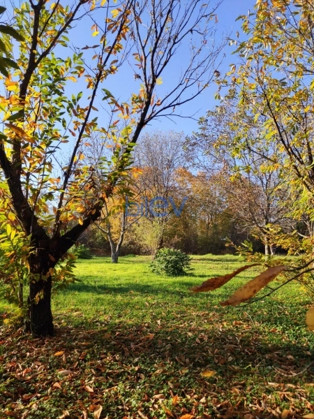Satış  otaqlı Torpaq  20m², Qəbələ