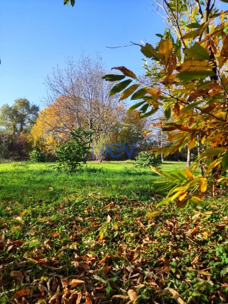 Satış  otaqlı Torpaq  20m², Qəbələ