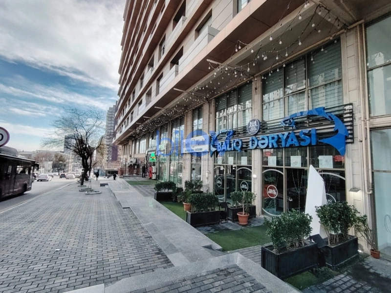 Aylıq Kirayə 2 otaqlı Obyekt  150m², Bakı