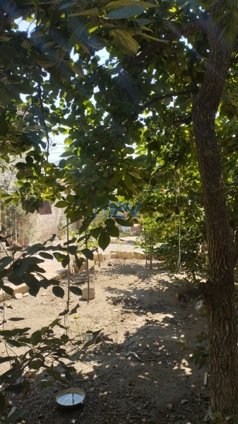 Satış 9 otaqlı Həyət evi  250m², Bakı