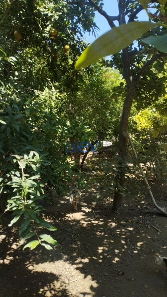Satış 9 otaqlı Həyət evi  250m², Bakı