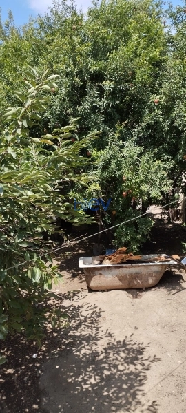 Satış 9 otaqlı Həyət evi  250m², Bakı