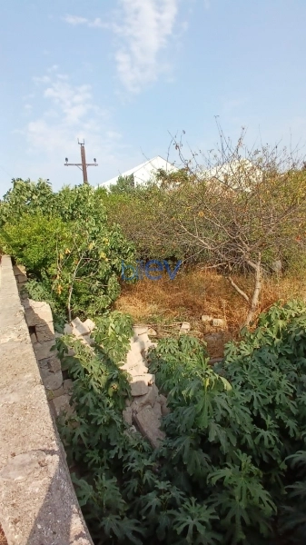 Satış  otaqlı Torpaq  300m², Bakı