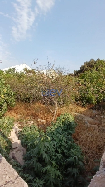 Satış  otaqlı Torpaq  300m², Bakı