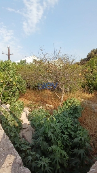 Satış  otaqlı Torpaq  300m², Bakı