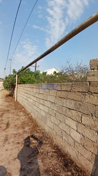 Satış  otaqlı Torpaq  300m², Bakı