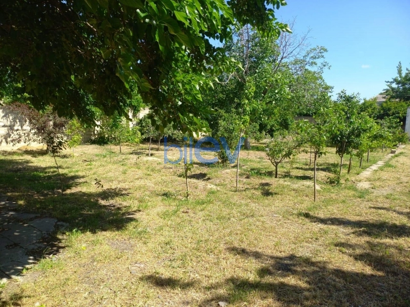 Satış  otaqlı Torpaq  1600m², Bakı