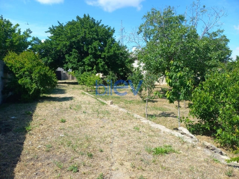 Satış  otaqlı Torpaq  1600m², Bakı