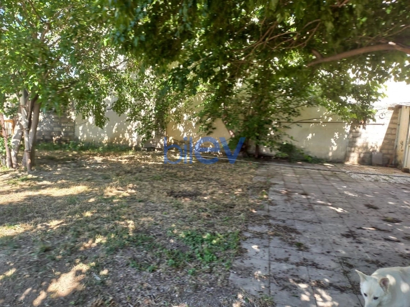 Satış  otaqlı Torpaq  1600m², Bakı