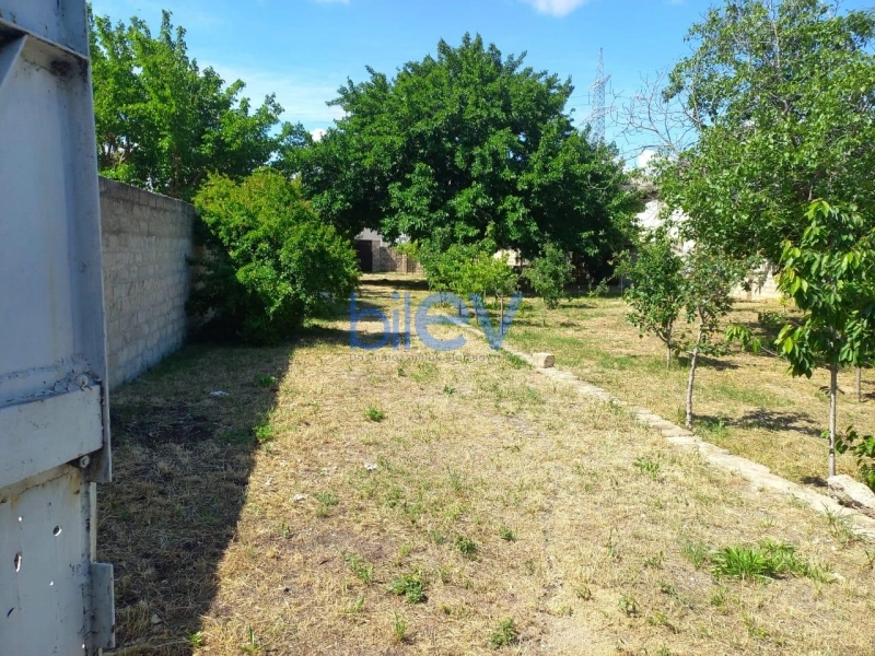 Satış  otaqlı Torpaq  1600m², Bakı