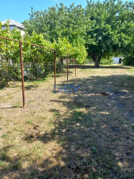 Satış  otaqlı Torpaq  1600m², Bakı