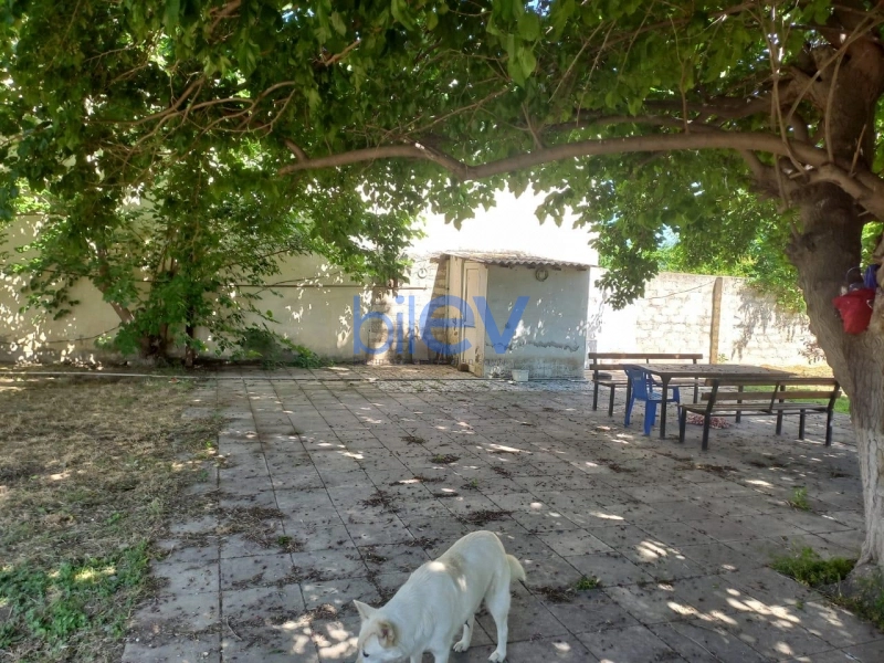 Satış  otaqlı Torpaq  1600m², Bakı