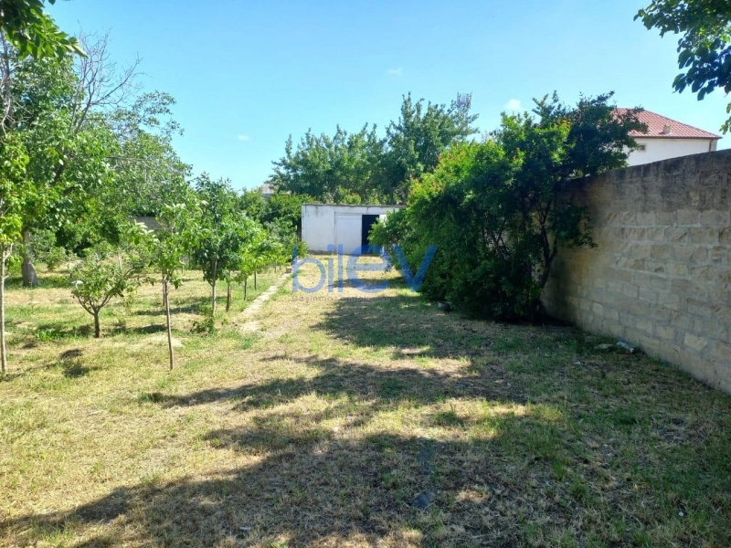 Satış  otaqlı Torpaq  1600m², Bakı