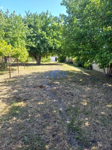 Satış  otaqlı Torpaq  1600m², Bakı