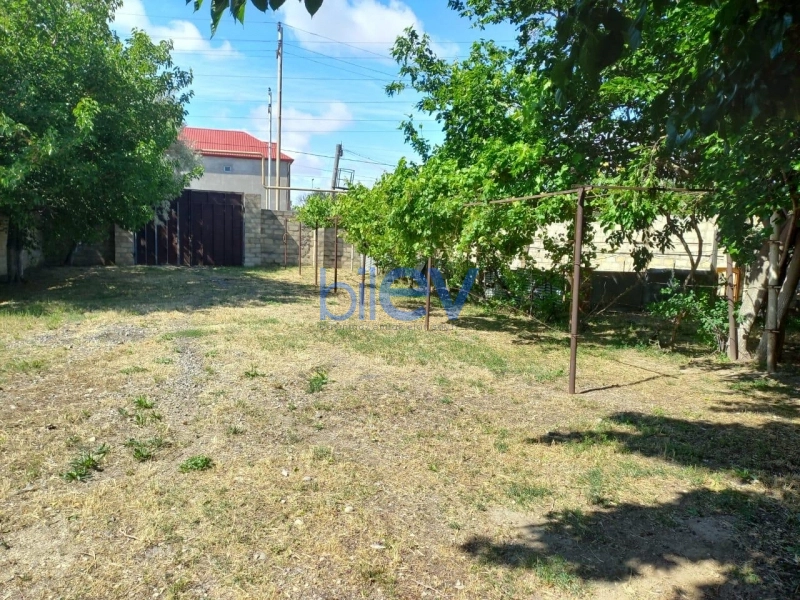 Satış  otaqlı Torpaq  1600m², Bakı