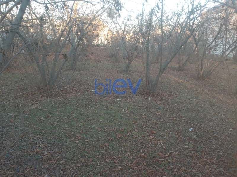 Satış  otaqlı Torpaq  800m², Qazax