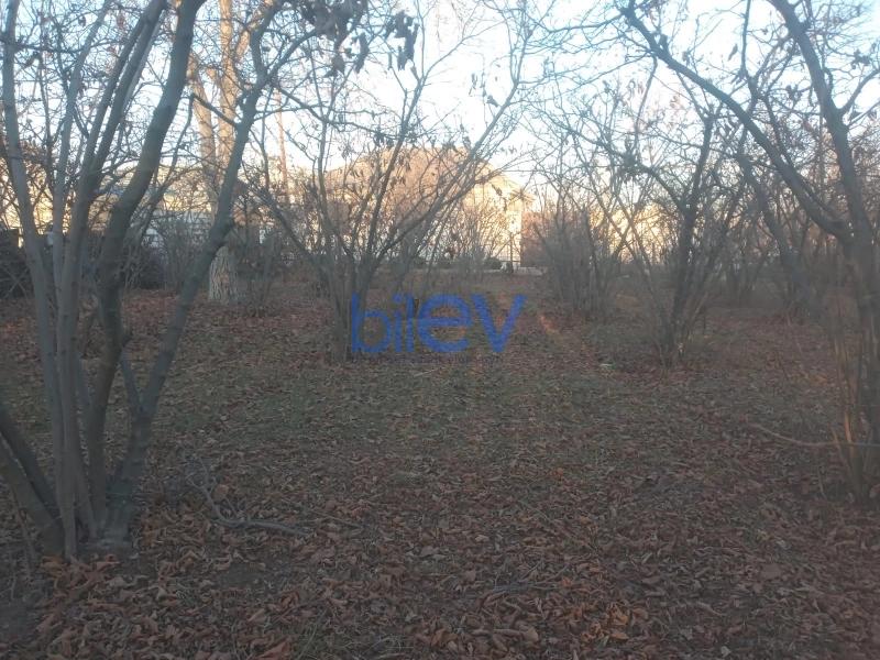 Satış  otaqlı Torpaq  800m², Qazax
