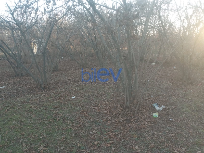 Satış  otaqlı Torpaq  800m², Qazax