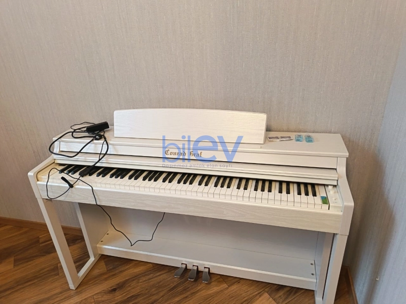 Aylıq Kirayə 5 otaqlı Köhnə Tikili bina evi  250m², Bakı