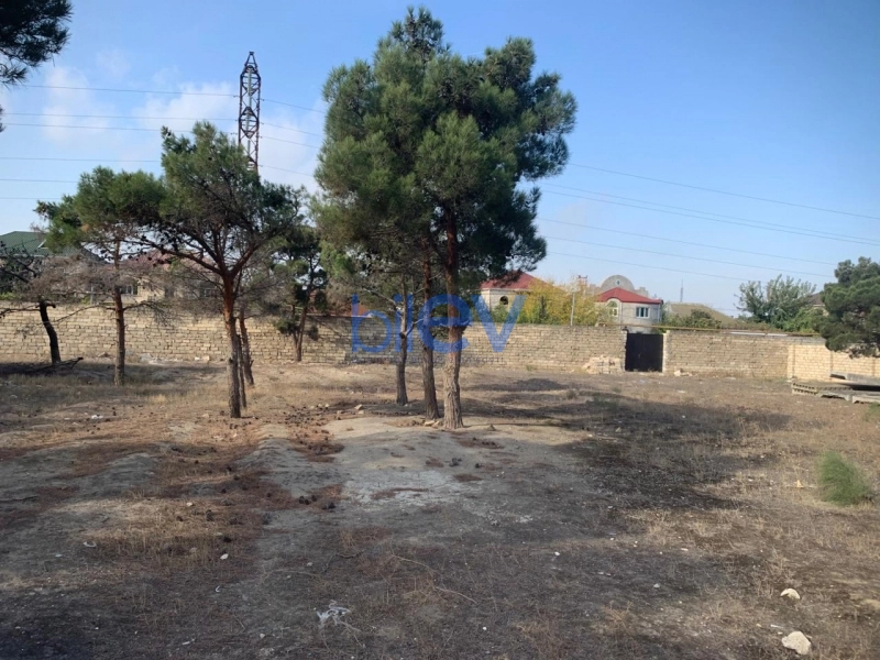 Satış  otaqlı Torpaq  3600m², Bakı