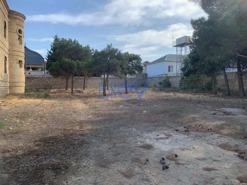 Satış  otaqlı Torpaq  3600m², Bakı