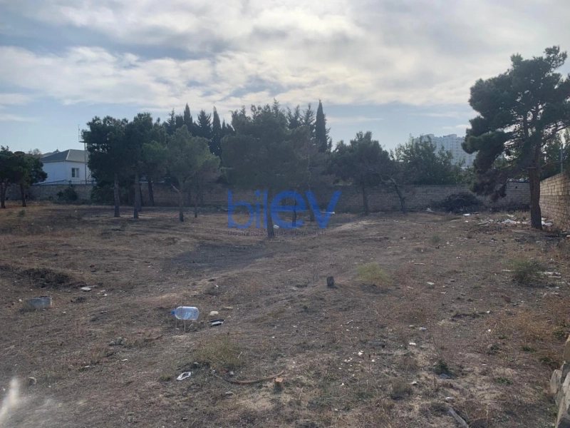 Satış  otaqlı Torpaq  3600m², Bakı