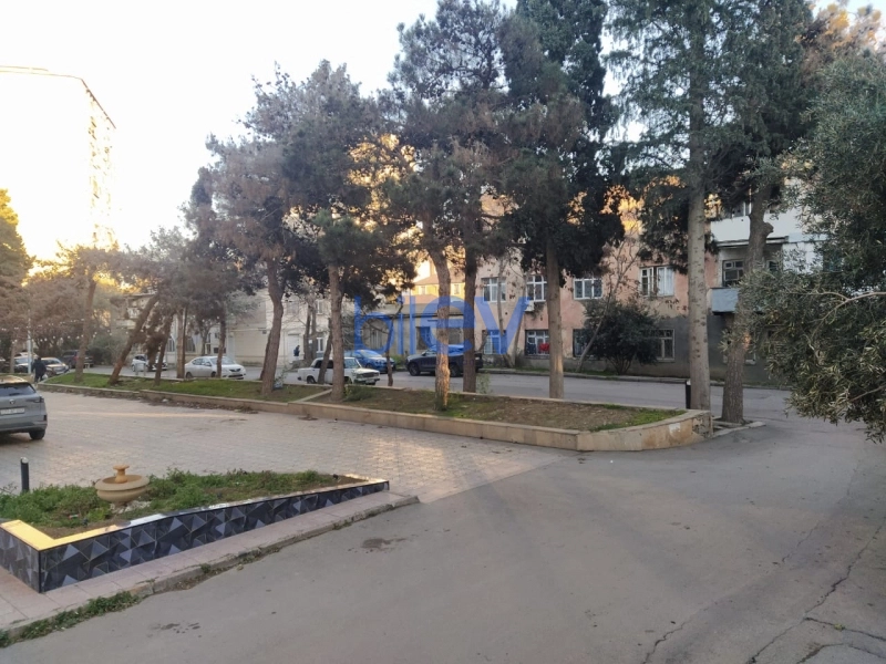 Aylıq Kirayə 2 otaqlı Obyekt  65m², Bakı