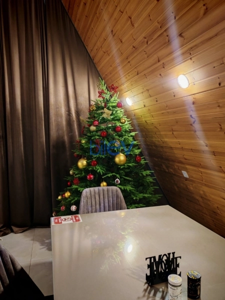 Günlük Kirayə 3 otaqlı Aframe  120m², Qəbələ