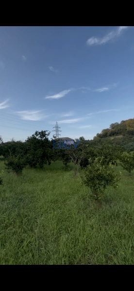 Satış  otaqlı Torpaq  44m², Lənkəran