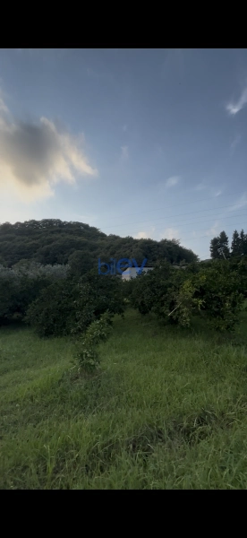 Satış  otaqlı Torpaq  44m², Lənkəran