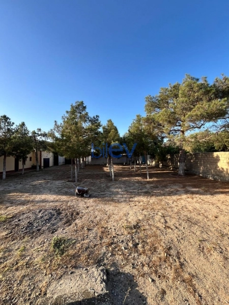 Satış  otaqlı Torpaq  2400m², Bakı