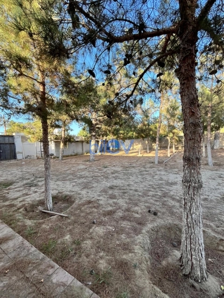 Satış  otaqlı Torpaq  2400m², Bakı