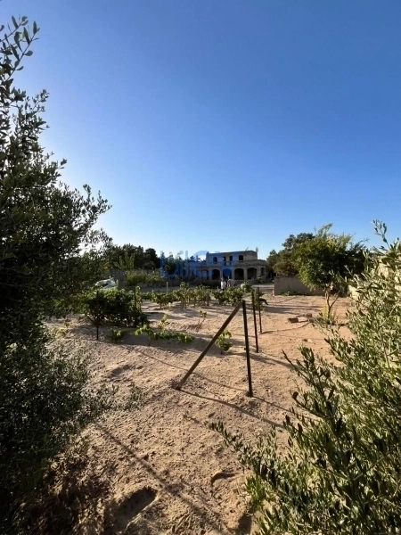 Satış  otaqlı Torpaq  2400m², Bakı